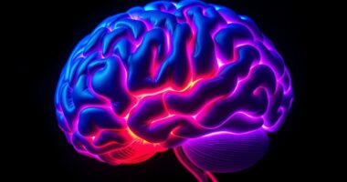 brain activity in narcissists