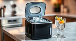 top compact ice makers