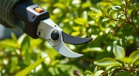 top electric pruning shears