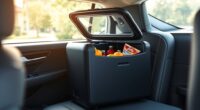 top portable car fridge options