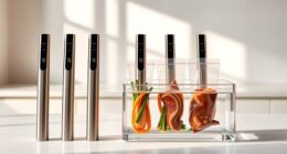 top sous vide stick picks