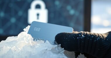 freeze credit to protect