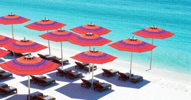 luxury sun protection umbrellas