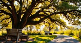 recovery timelines and misconceptions