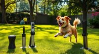 top automated dog fetch machines