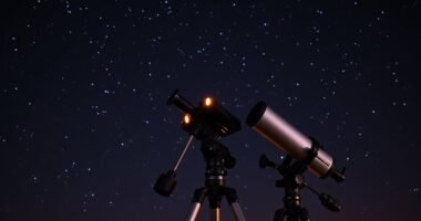 top beginner motorized mounts