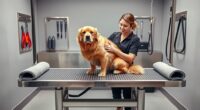 top pet grooming table picks