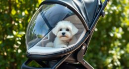 top small dog stroller picks