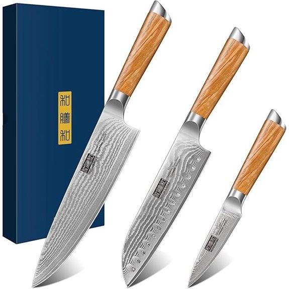 HOSHANHO Damascus Knife Set 3-Piece with Ergonomic Handles