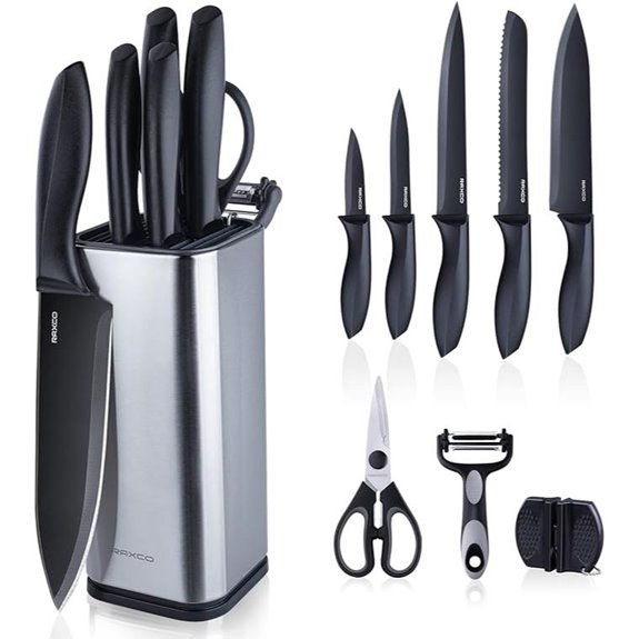 RAXCO 10-Piece Stainless Steel Knife Set with Block