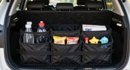 car trunk custody organizer