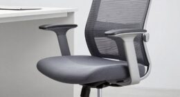 ergonomic lumbar support chair