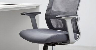 ergonomic lumbar support chair