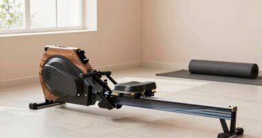 gentle beginner cardio workout