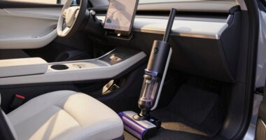 quick car vacuum reset