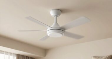 quiet sleep enhancing fan