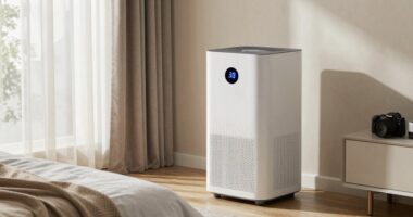 top 15 bedroom dehumidifiers