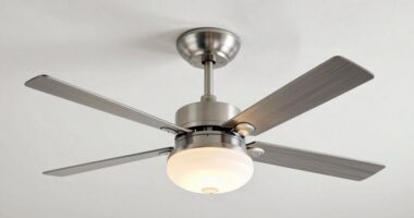 top 15 lighting ceiling fans