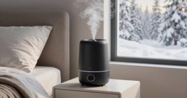 top humidifiers for sleep