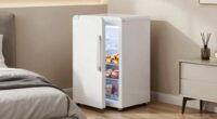 top mini fridges with freezers