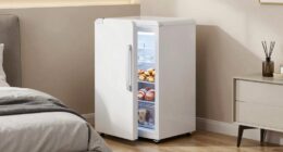 top mini fridges with freezers