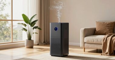 top smoke odor purifier list