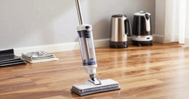top steam mops for hardwood