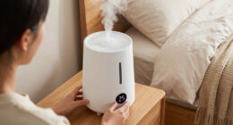 10 Best Smart Humidifiers for Dry Winter Bedrooms in 2026