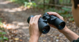 7 Best Binoculars for Birdwatching and Mindful Walks in 2026