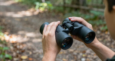 7 Best Binoculars for Birdwatching and Mindful Walks in 2026