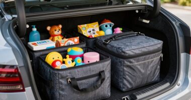 car organizers and coolers