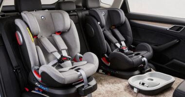 dual home car seat system
