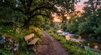 healing and thriving mindset