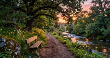 healing and thriving mindset