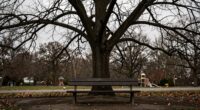 longing for better times