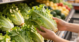Cyclospora Linked To Taylor Farms Lettuce Sent To Taco Bell