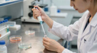 Old Muscle Stem Cells Can Act Young Again But There’s A Catch