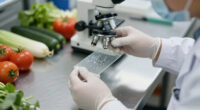 Cyclospora Outbreak Uk