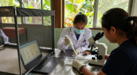 The Technology To Eradicate Mosquito-borne Disease Exists