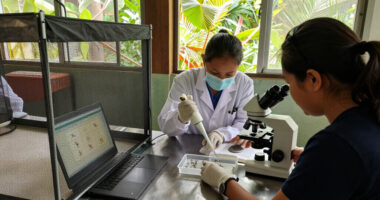 The Technology To Eradicate Mosquito-borne Disease Exists